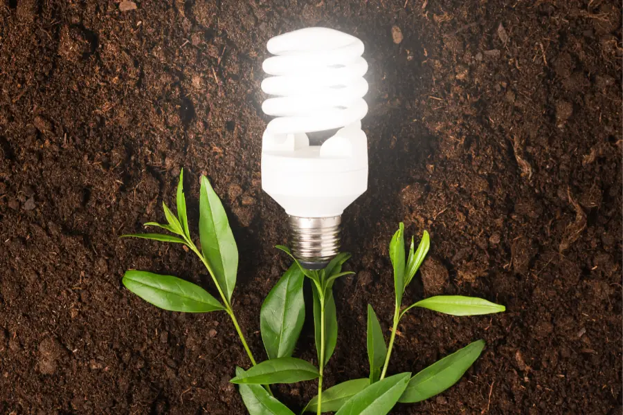 Diferencias entre fuentes de energía renovable y no renovable